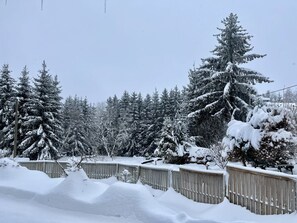 Property grounds - Vacation home Selma by Interhome (Suhl)