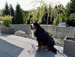 Property grounds - Vacation home Anna by Interhome (Suhl)