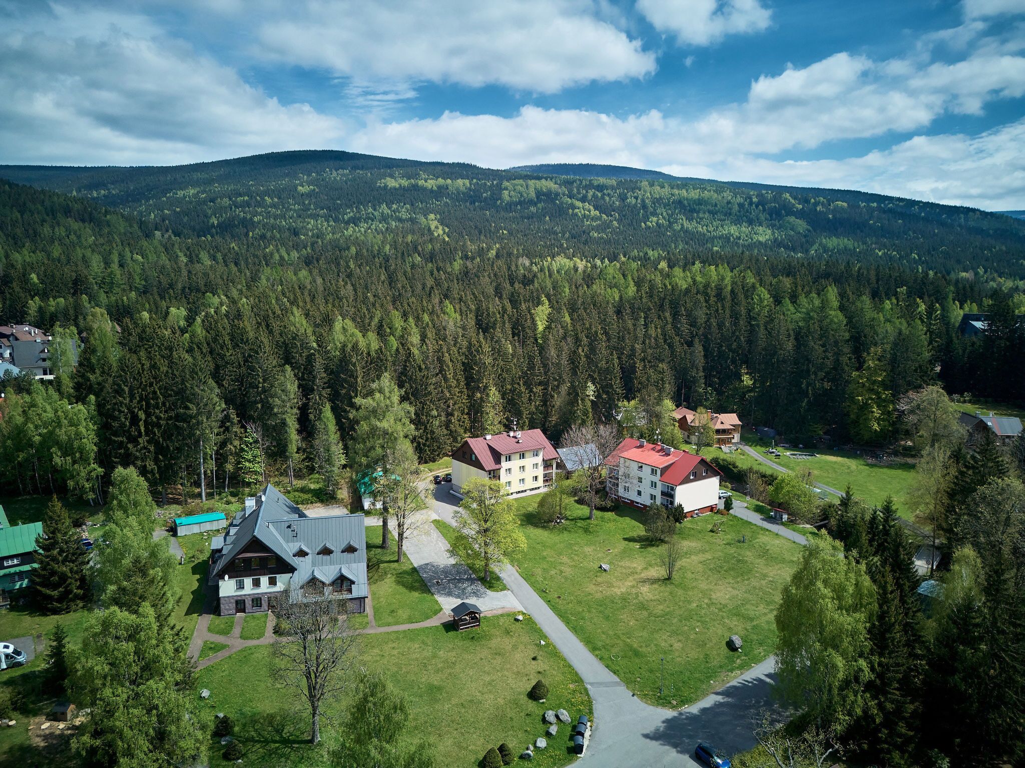 An aerial view of a residential area with houses, a green lawn, and a forested mountain in the background.