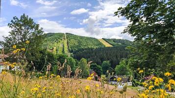 A rural landscape with a house, a field of yellow flowers, and a forested hill.