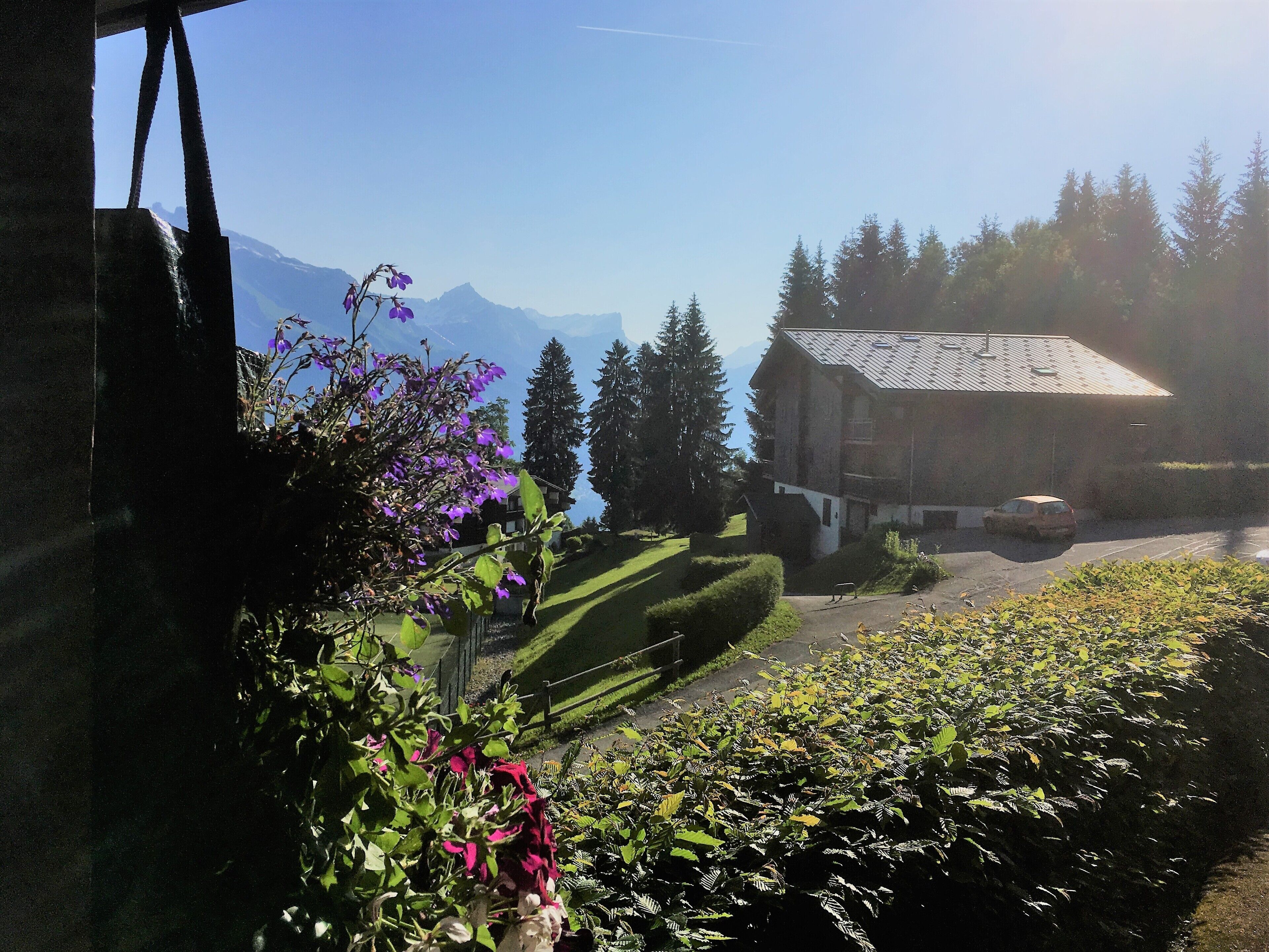 Overnattingsstedets uteområder