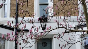 A blue door with the number 17, a white wall, and a black gate with a patterned tile floor. - Elegant Victorian house in South London. Excellent transport links. (London)