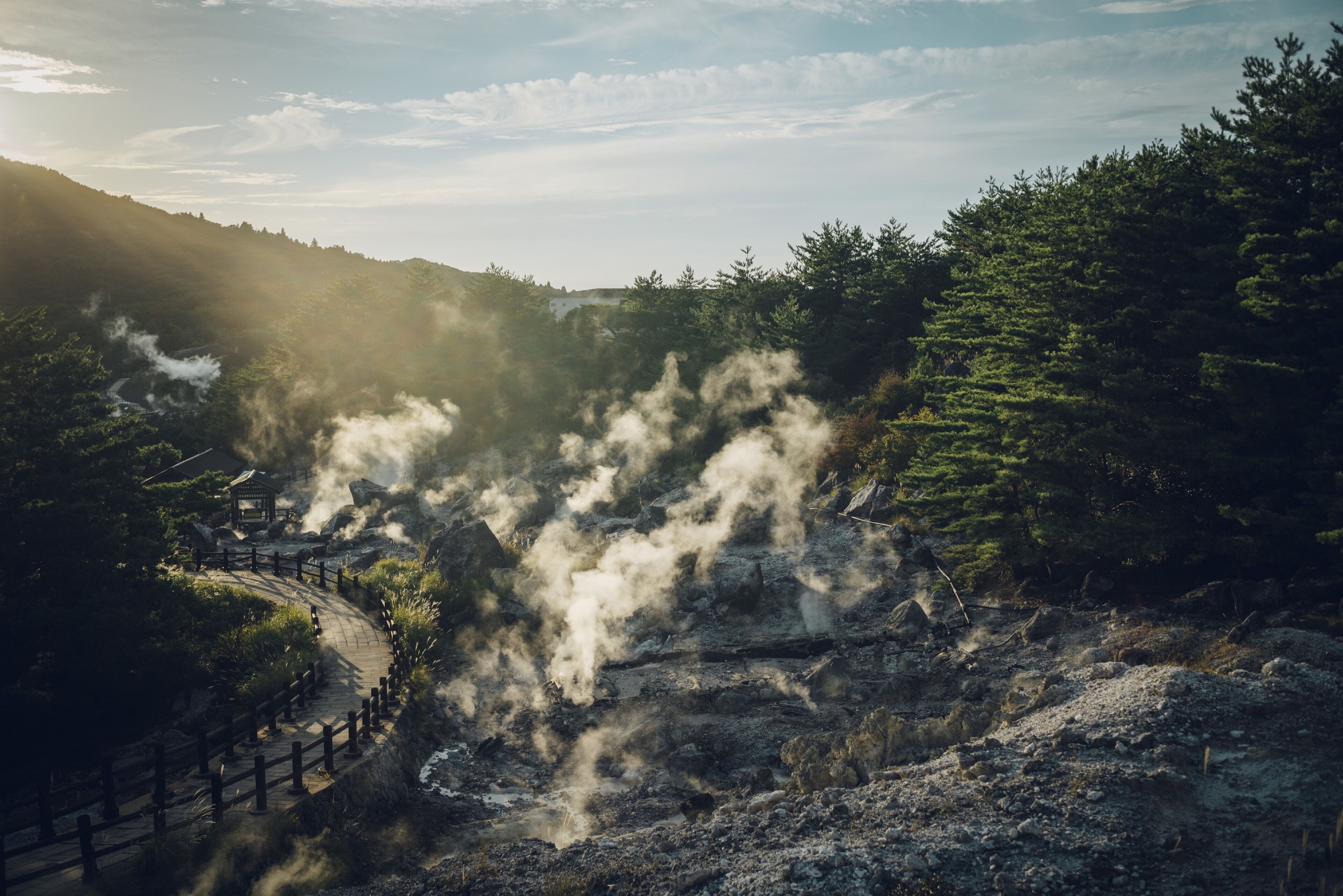 A natural hot spring area with steam rising from the ground, surrounded by trees and a wooden pathway.