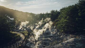 A natural hot spring area with steam rising from the ground, surrounded by trees and a wooden pathway.