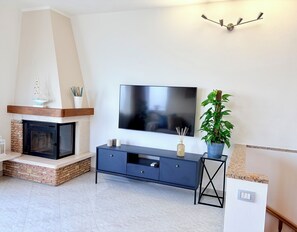 Smart TV, fireplace, books