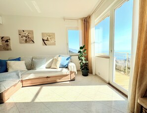 Smart TV, chimenea, libros