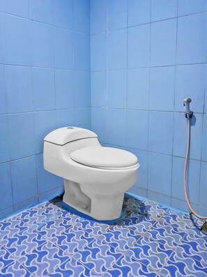 Shower, towels, toilet paper