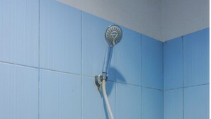 A shower with a handheld showerhead and a handheld hose.