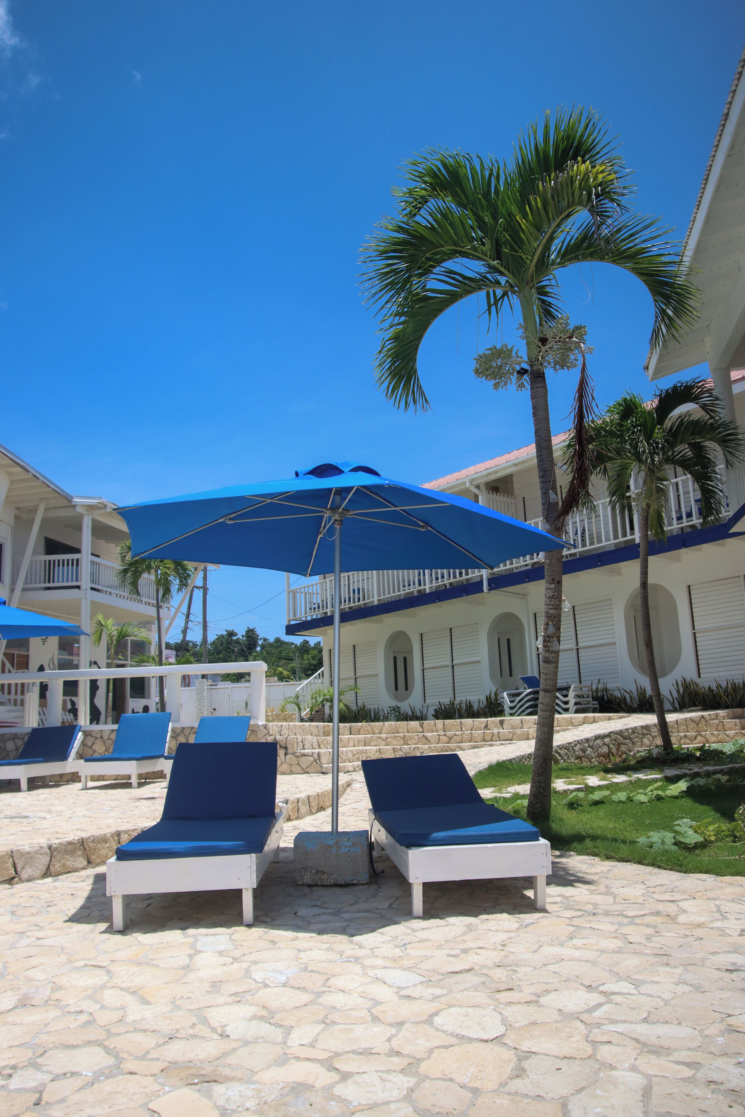 A poolside area with lounge chairs and umbrellas, a palm tree, and a building with balconies.
