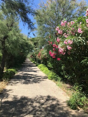 Terrein van de accommodatie