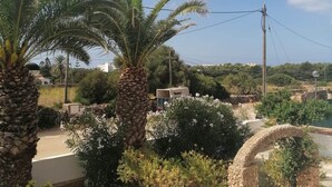 A residential area with palm trees, a stone archway, and a road.