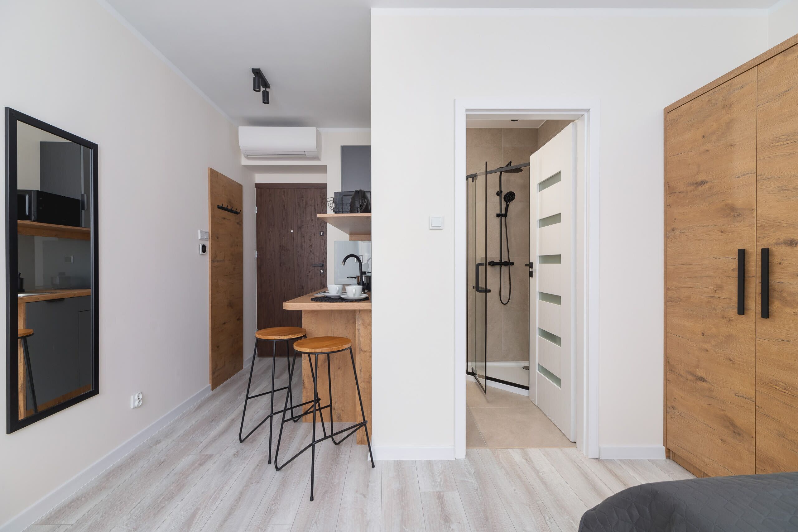 A modern apartment with a kitchenette, a shower area, and a wardrobe.