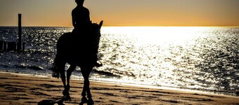 The pearl - Great enjoyment with peace and relaxation