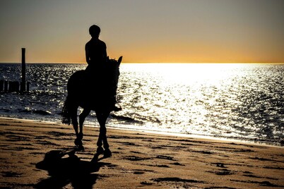 The pearl - Great enjoyment with peace and relaxation