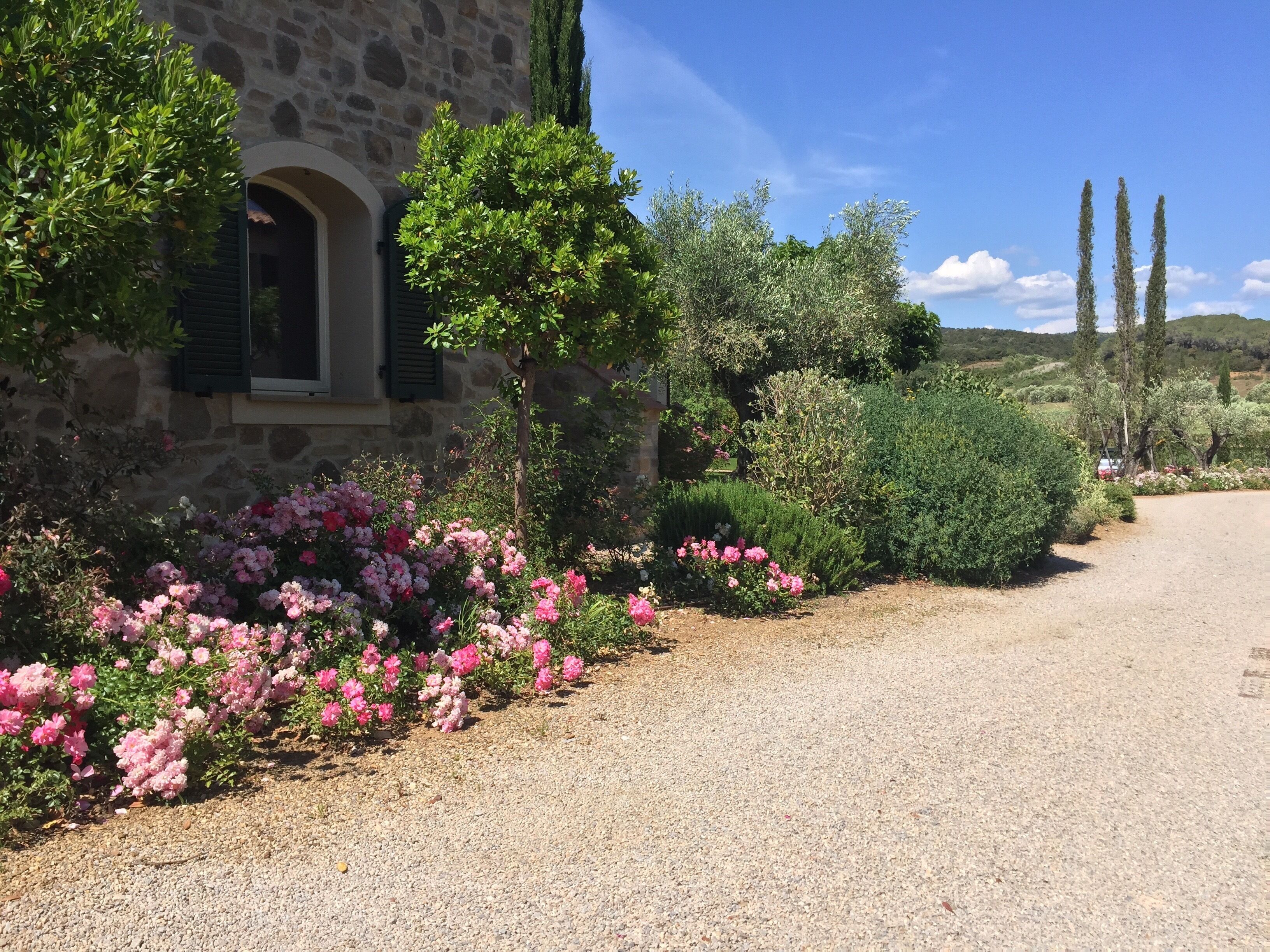 Áreas de la propiedad