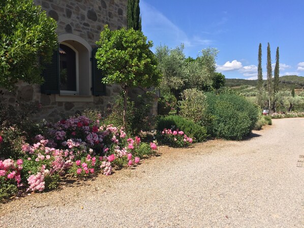 Parco della struttura