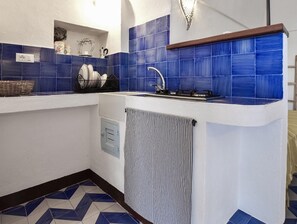 Fridge, stovetop, cookware/dishes/utensils