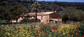 Finca Es Mayolet