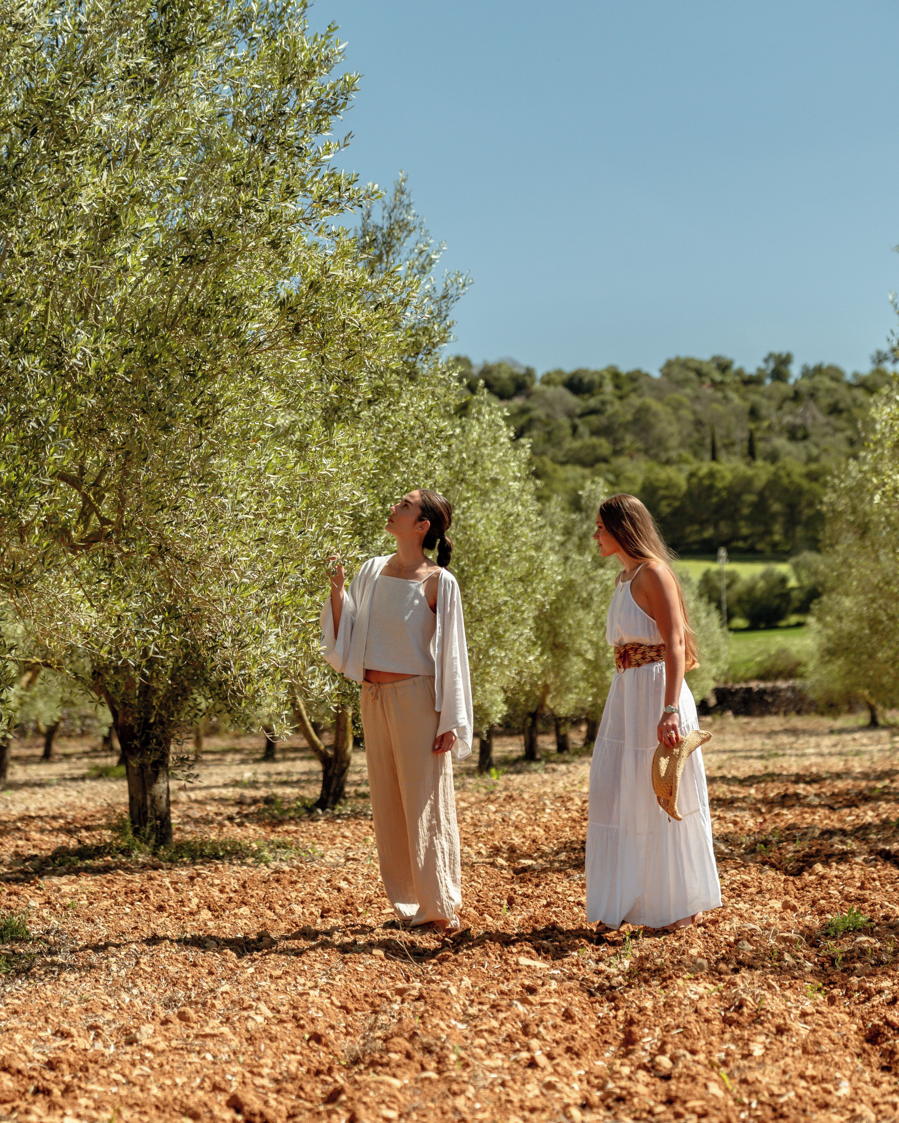Photo - Agroturismo es Mayolet