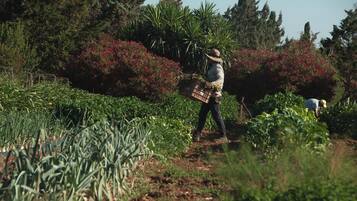 Land view from property