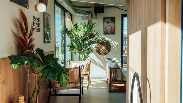 Una habitación acogedora con una planta grande, muebles de mimbre y vistas al exterior.