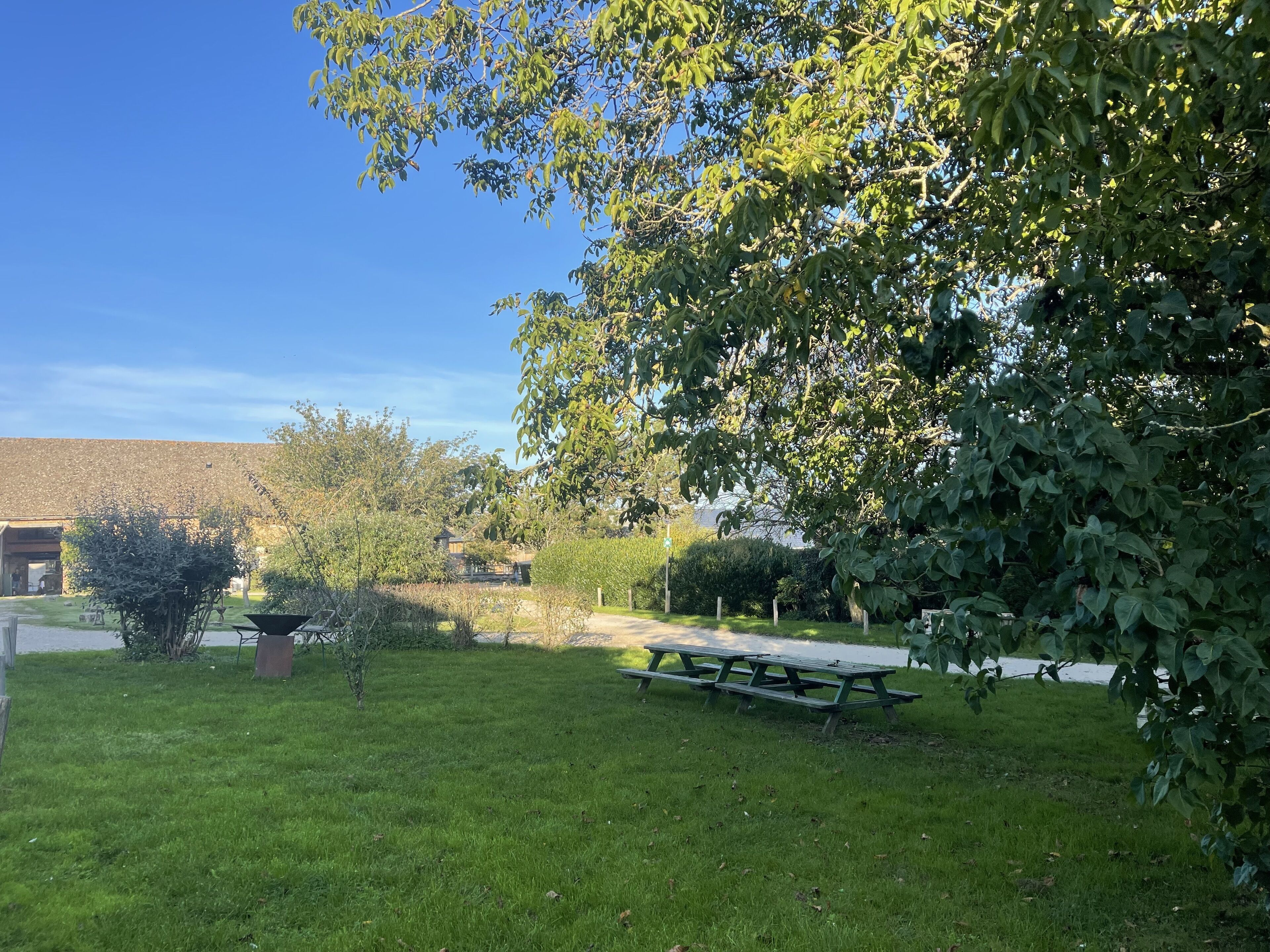 A grassy area with a picnic table, a small garden, and a building in the background.