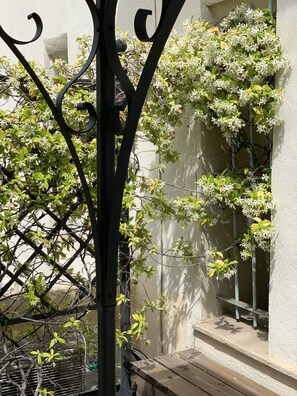 Niet-geclassificeerde afbeelding, 3 van 36, knop