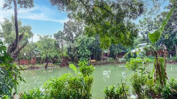Taman