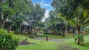 A lush garden with a paved walkway, surrounded by trees and a building with multiple windows. - Collection O 91071 Hotel Desa Wisata Tmii (Jakarta)