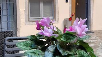 A building with a door decorated with a Christmas wreath, a potted plant with pink flowers in front, and a window with a flower box.