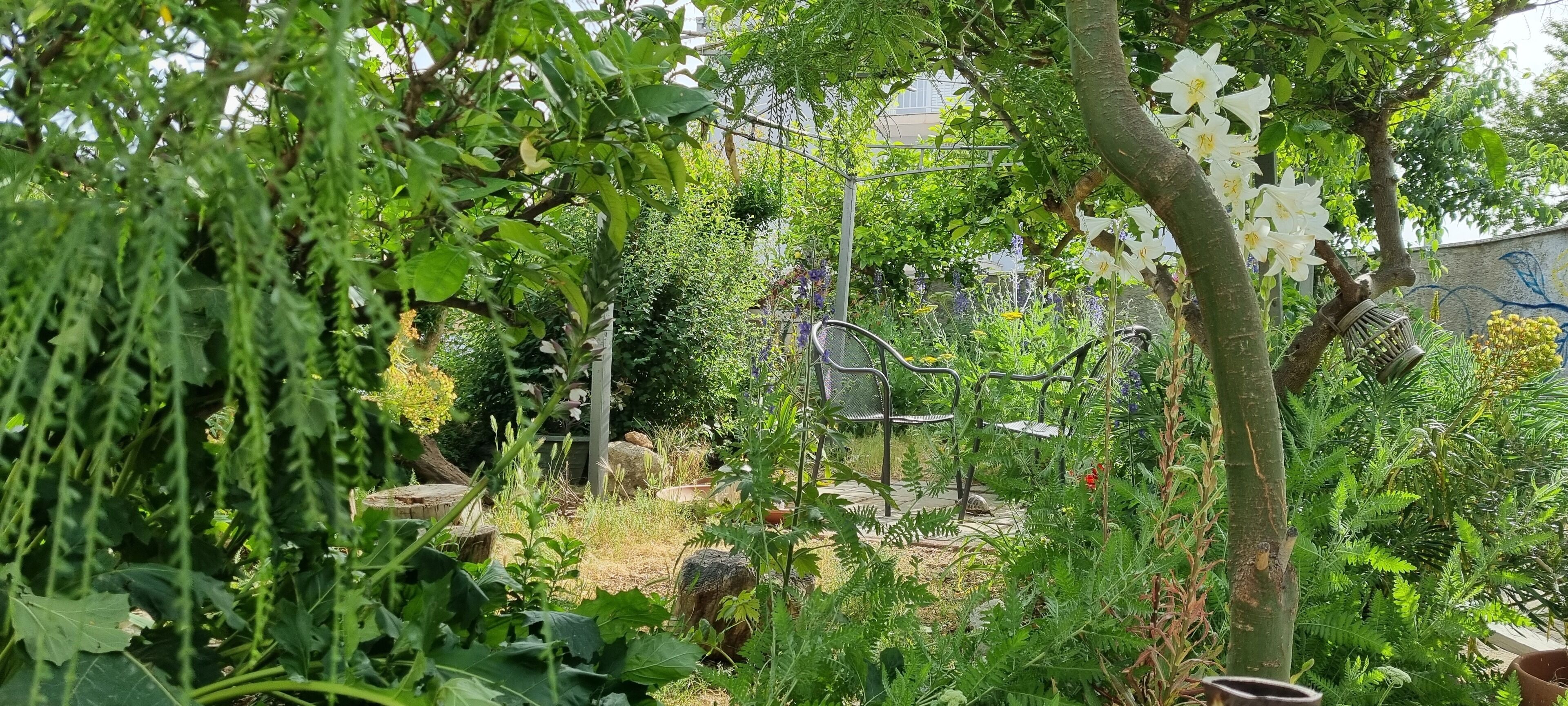 Overnattingsstedets uteområder