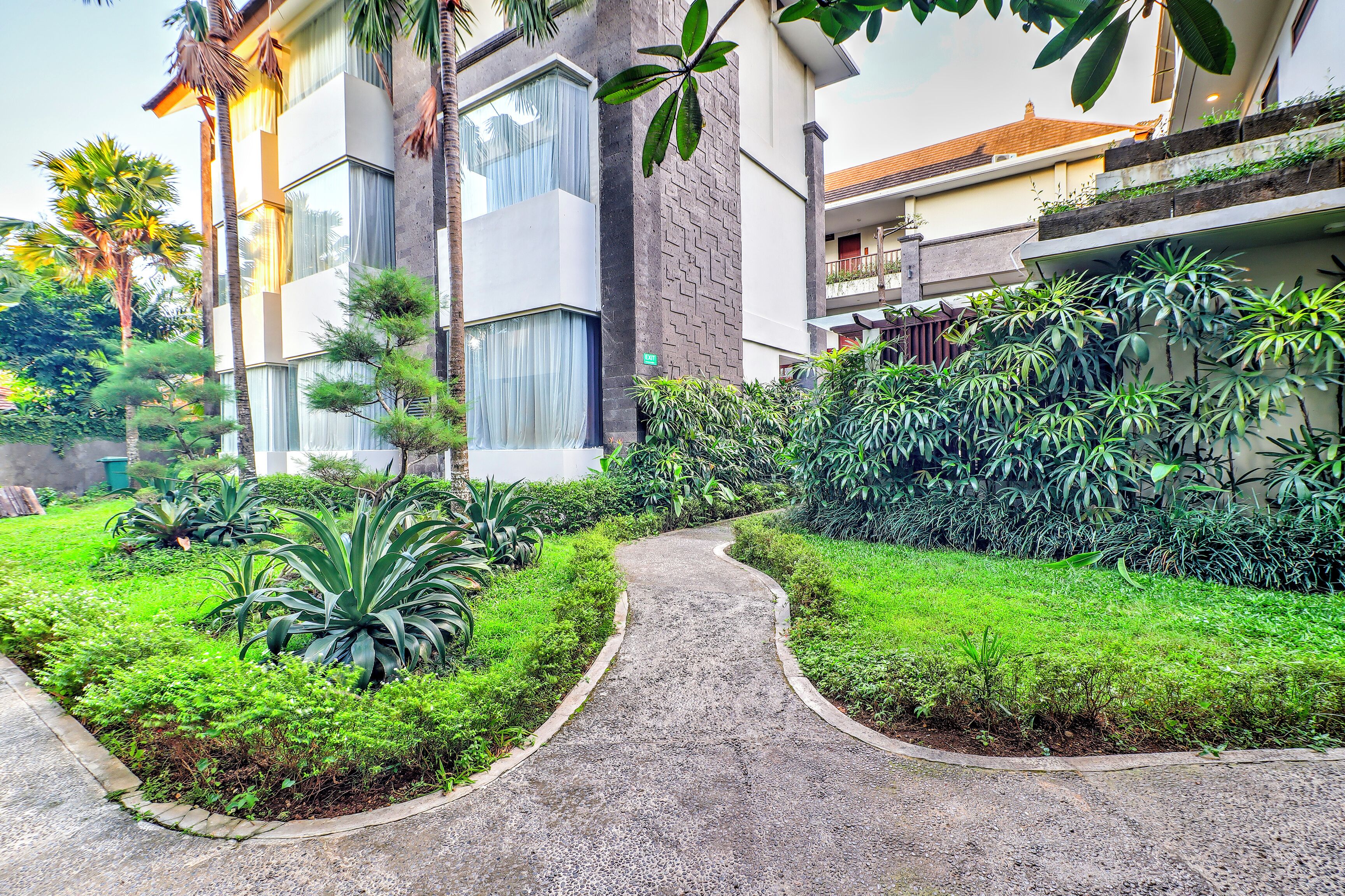 Un camino que lleva a un edificio de diseño moderno, rodeado de abundante vegetación y palmeras.
