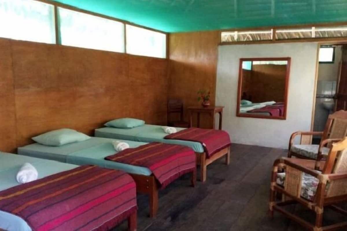 Une chambre avec quatre lits simples, des meubles en bois et un miroir au mur.