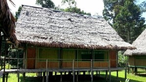 Una cabaña con techo de paja y una plataforma de madera, además de una ventana.