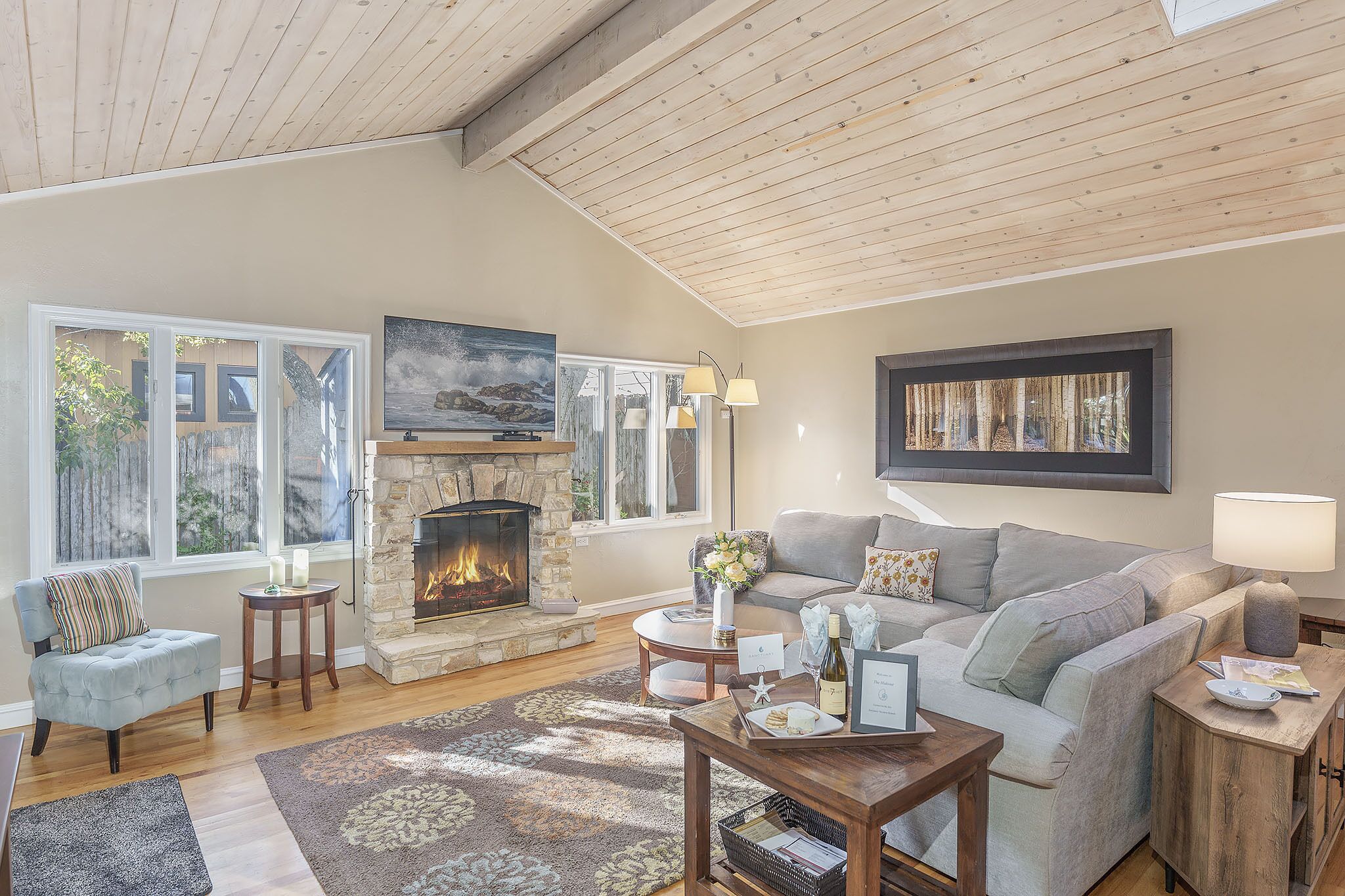 Smart TV, fireplace, DVD player, books