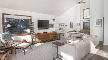 Smart TV, fireplace, books, stereo