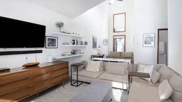 TV connectée, cheminée, livres, chaîne hi-fi