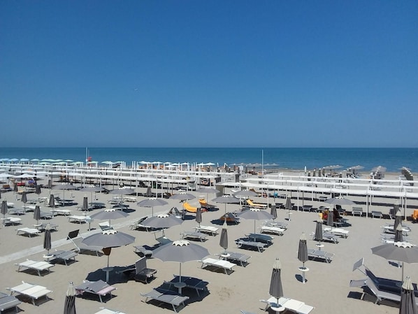Sun loungers, beach umbrellas - Hotel Selene (Riccione)
