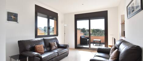 TV, DVD player, ping pong