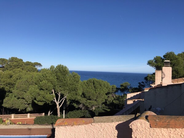 Vista desde la propiedad