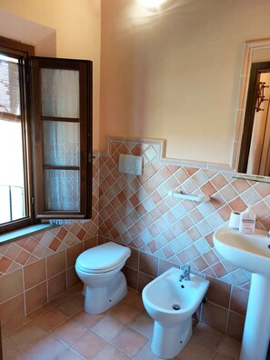 Dusche, Haartrockner, Bidet, Handtücher