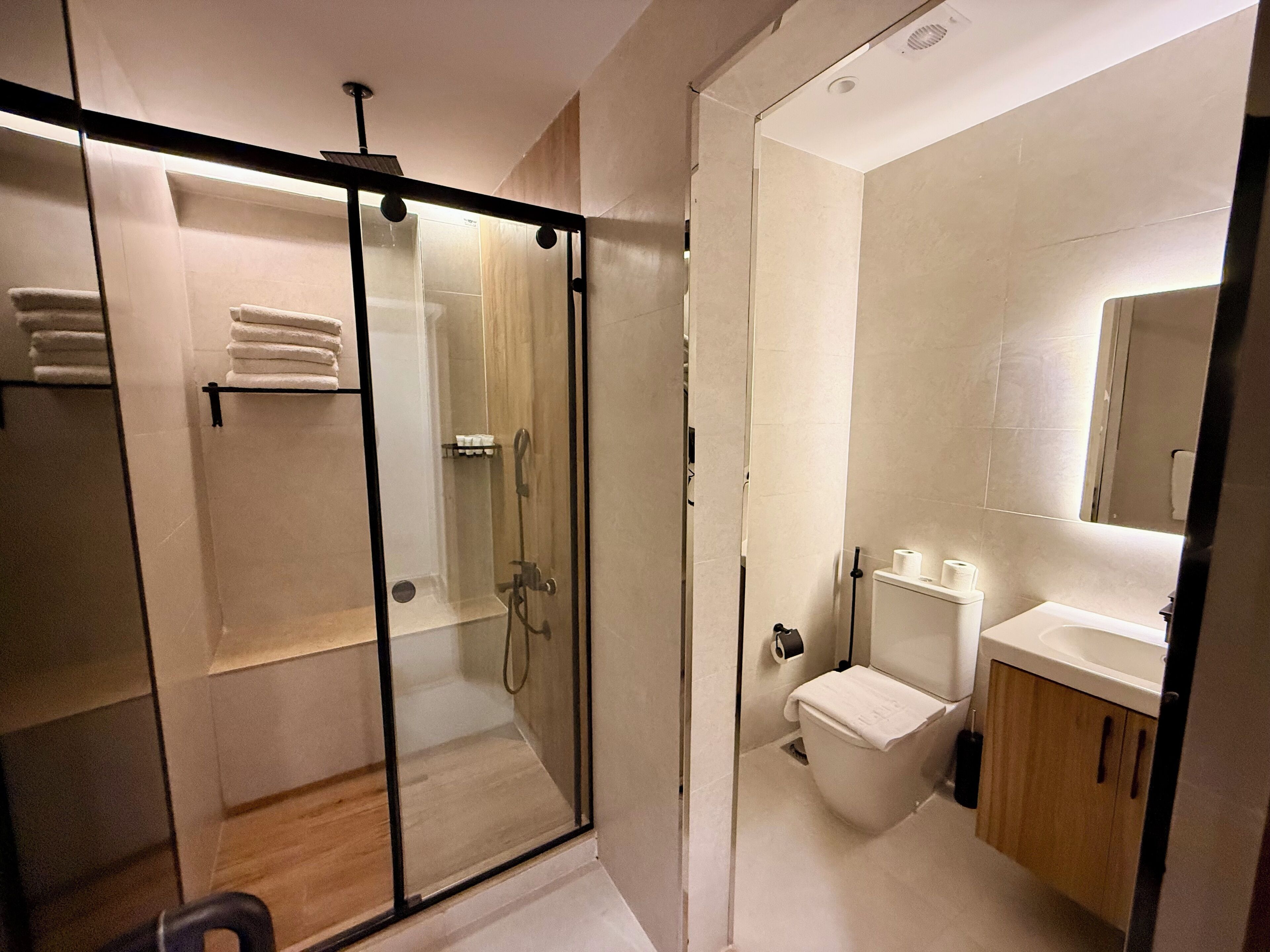 A modern bathroom with a glass-enclosed shower, a toilet, and a sink with a mirror above it.