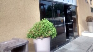 Exterior del hotel Kleinville con una planta grande en maceta.