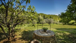A garden with a circular stone structure, a tree, and a grassy field.