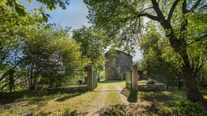 A gated entrance to a building surrounded by trees.