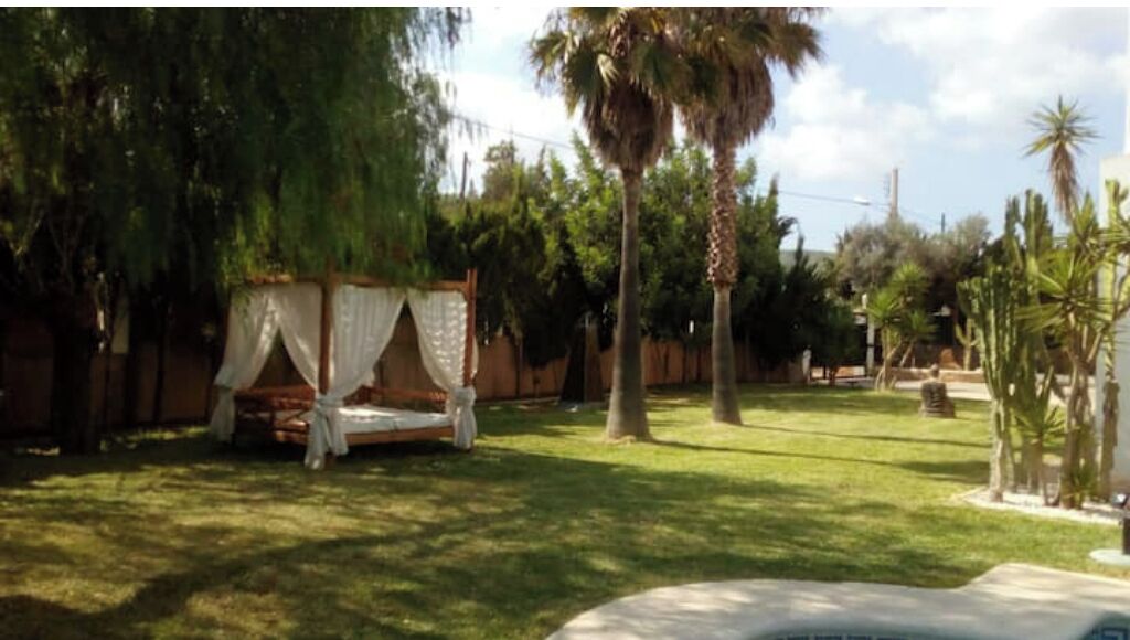A garden with a bed, a palm tree, and a fence.
