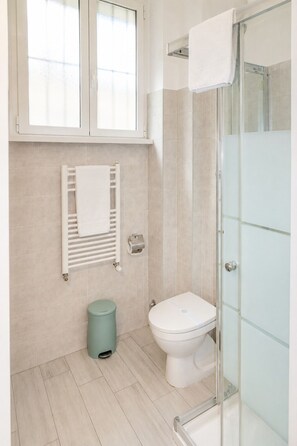 Shower, hair dryer, bidet, towels