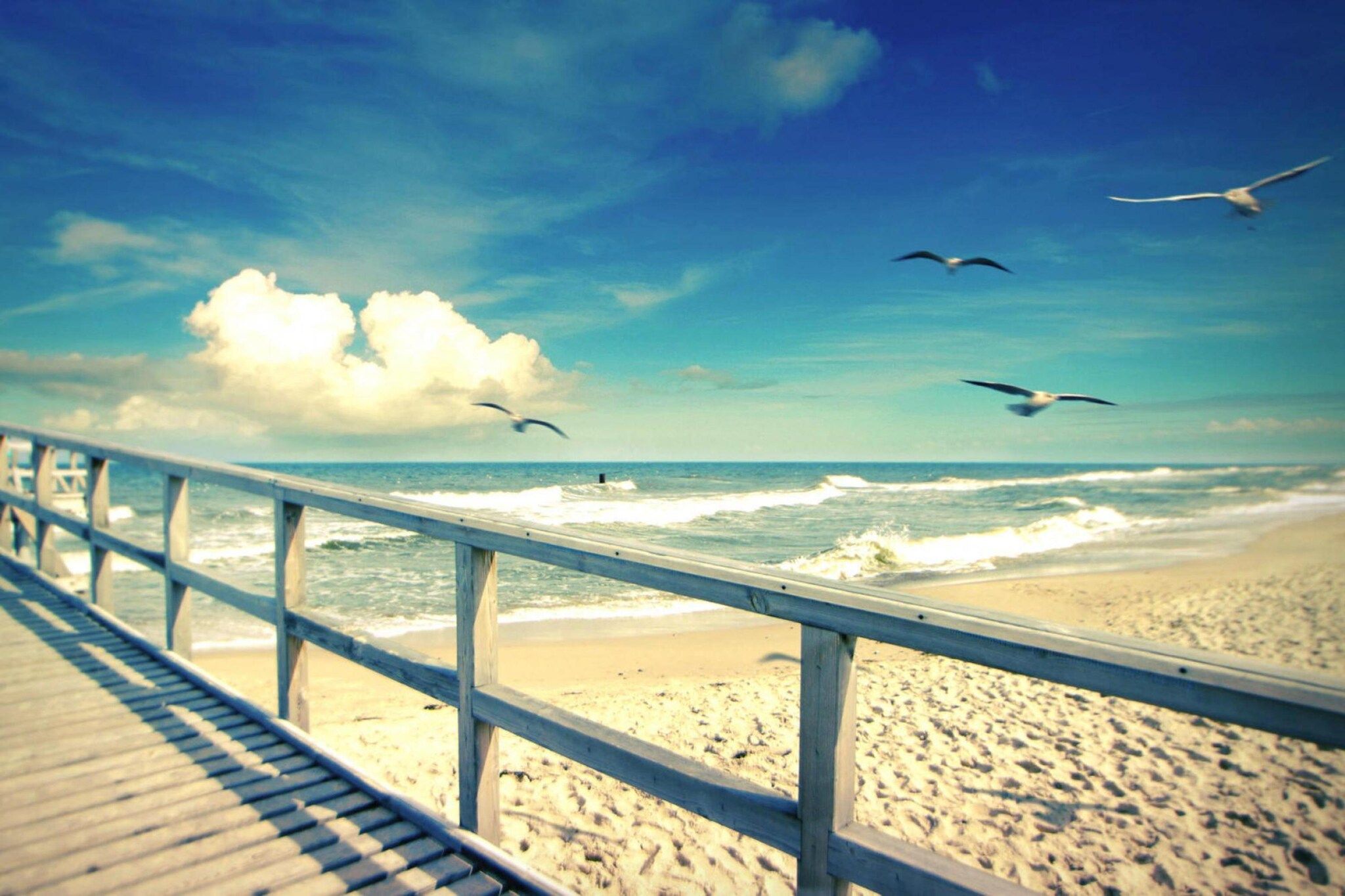 Une promenade en bois mène à une plage de sable où l’on peut observer des vagues et des mouettes qui volent au-dessus.