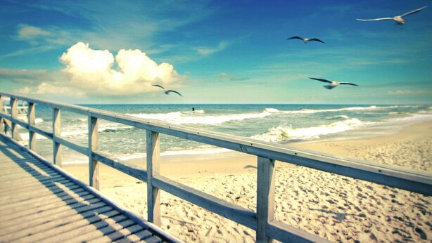 Une promenade en bois mène à une plage de sable où l’on peut observer des vagues et des oiseaux qui volent au-dessus.
