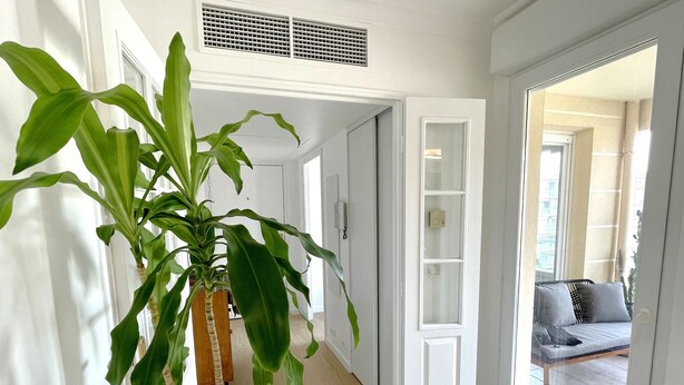 A hallway with a potted plant, white doors, and a view of a balcony with a sofa. - Luxury 3 bedroom apartment (Cannes)